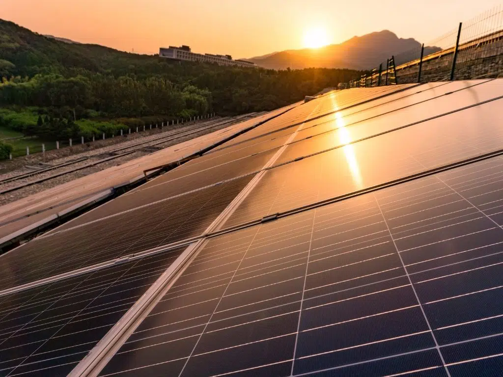 Sunshine over an industrial-scale solar panel array